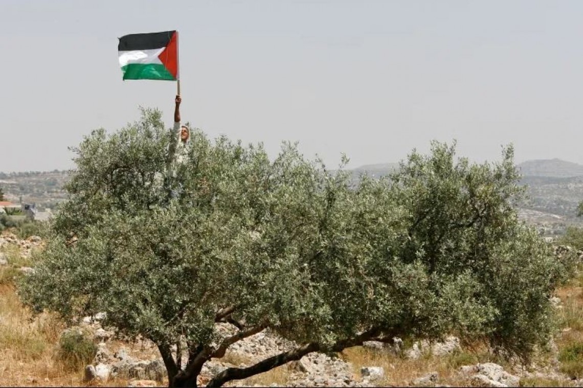 Mengapa Warga Palestina Tidak Mau Meninggalkan Tanah Mereka?