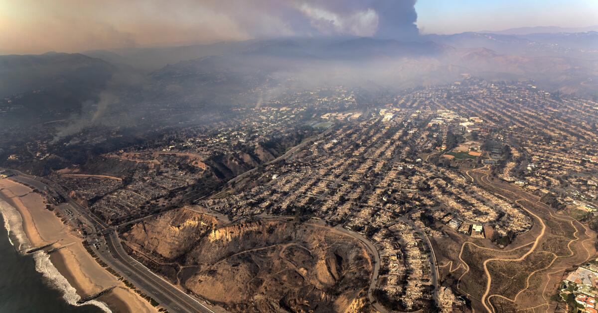 Dari Gaza Hingga California: Api yang Menghubungkan Kita Semua