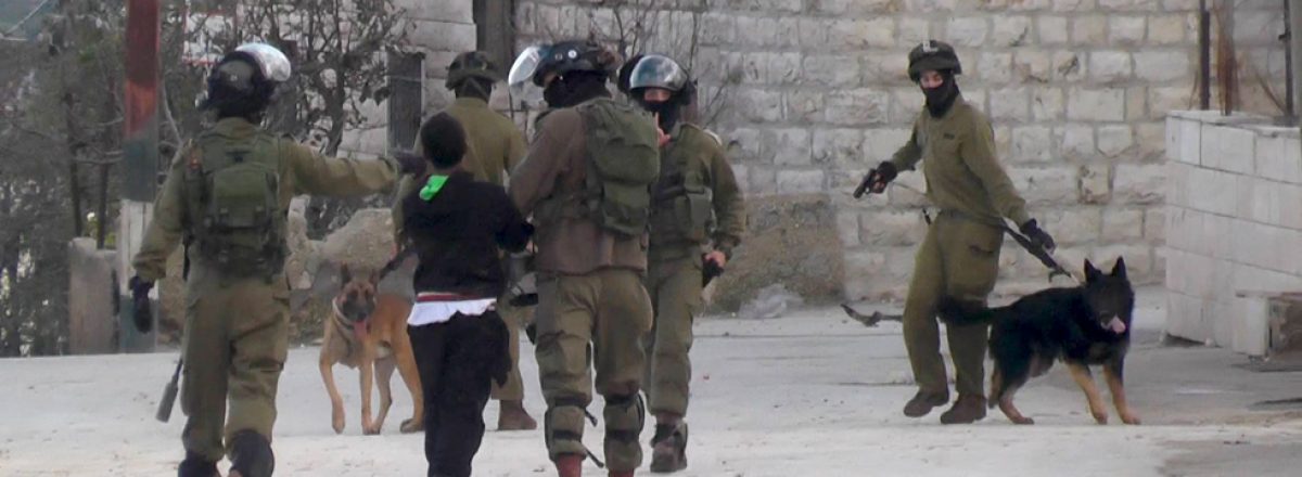 Laporan Euromed Monitor: Anjing Militer Belanda Digunakan Israel untuk Serang, Teror, dan Perkosa Rakyat Palestina