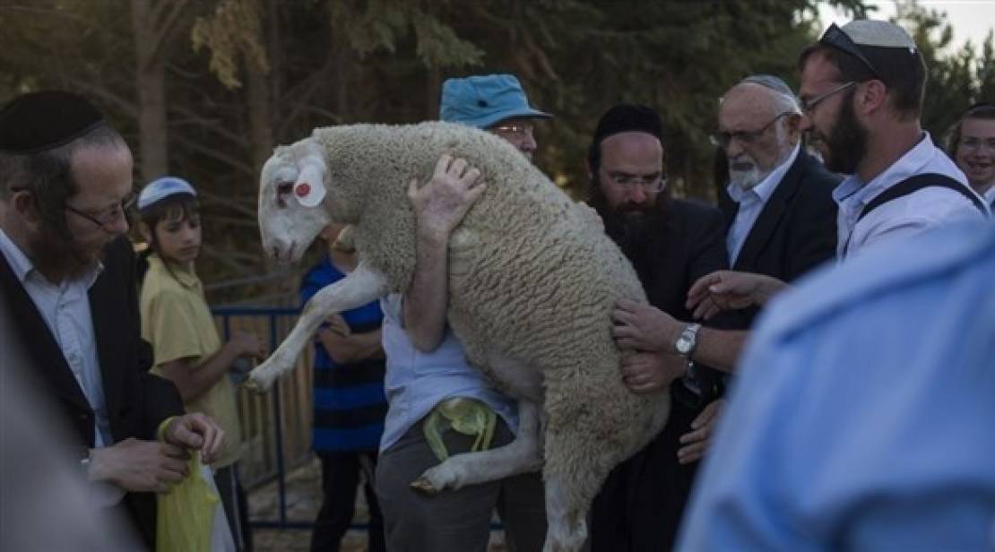 Yahudi Radikal Coba Laksanakan Ritual Kurban Paskah di Al-Aqsa, Namun Berhasil Digagalkan