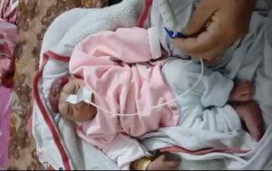 Malak al-Qanou' adalah seorang bayi yang lahir di Rumah Sakit Al-Awda, Gaza Utara, dengan kondisi langka yang dikenal sebagai Anencephaly, yaitu kelainan lahir di mana bayi tidak memiliki otak. Malak lahir dalam keadaan sangat kritis, yang menarik perhatian internasional terhadap dampak kesehatan yang dihadapi oleh penduduk Gaza.