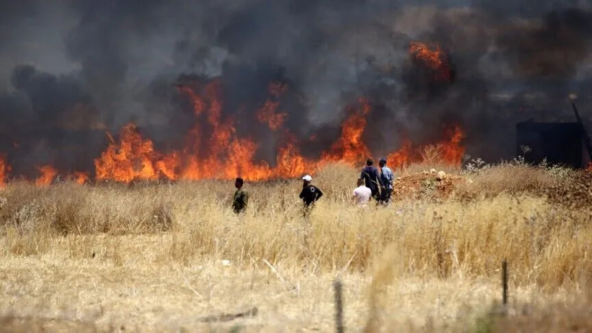 Hampir 89% Kebakaran Properti Palestina di Tepi Barat Dipicu Serangan Pemukim Israel